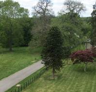 View from the property