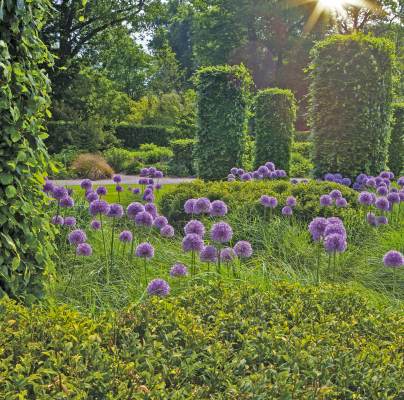 Gardens in summer 