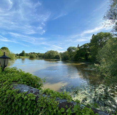 River in the summer