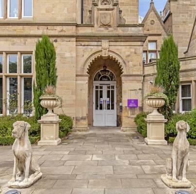 Stone dog statues at grand entrance