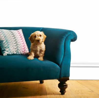Audley retirement villages dogs welcome