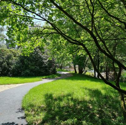 A paved path curves through a grassy park area with trees providing shade and sunlight filtering through the leaves.