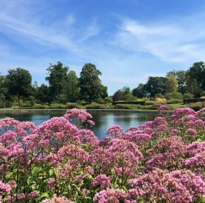 RHS Gardens Wisley, Surrey
