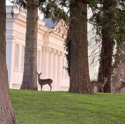 Stunning grounds surrounding Sunningdale Park