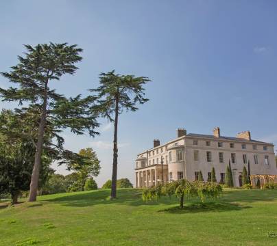 Manor house on green hill with pine trees