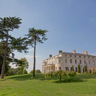 Manor house on green hill with pine trees