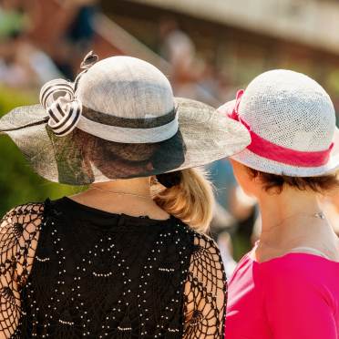 Back of two women watching a show