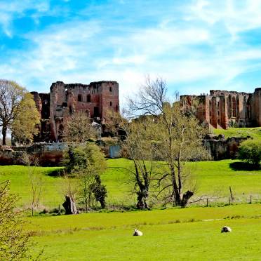 Castle ruins in a field with sheep