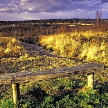 A long bench in autumn fields