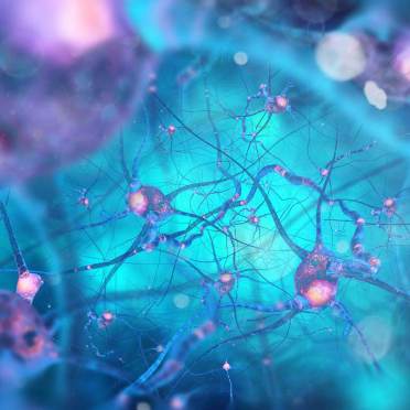 CGI of neurons