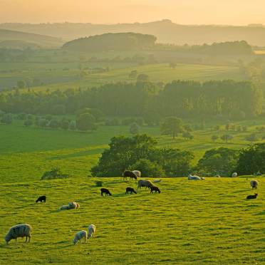 Yorkshire dales in summer