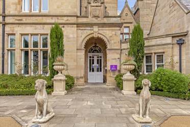 Stone dog statues at grand entrance