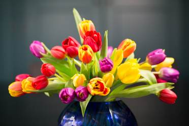 Flowers in a vase