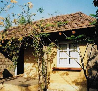 Small bungalow with tiled roof and climbing plants
