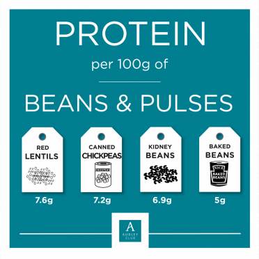 Infographic: Protein in pulses