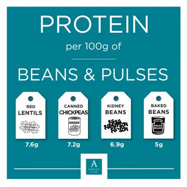 Protein content of beans and pulses Infographic: Protein in pulses