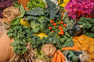 Colourful vegetables and flowers