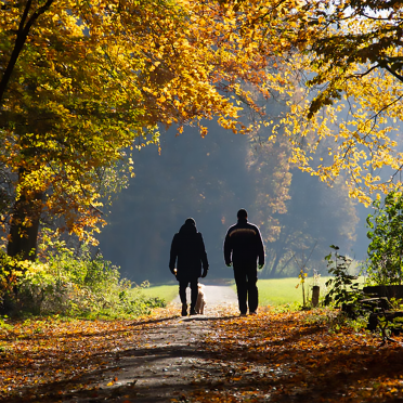 Two people walking in the woods