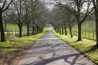 The area of Lingfield, Surrey