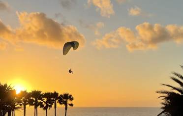 Up, Up and Away by Sophie Thorne