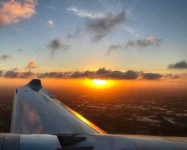 Wing Tip Sun Rise by Celeste Difford