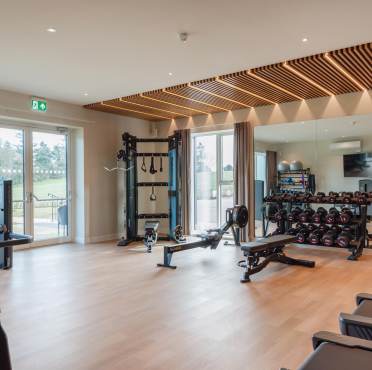 Bright gym with wooden flooring, exercise equipment like a rowing machine, dumbbells, pull-up station, and mirrors. Large windows offer ample natural light.