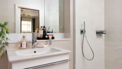 Hand-basin and shower with glass screen