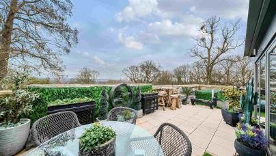 Spacious outdoor terrace with glass table, woven chairs, potted plants, and green hedges, overlooking trees and cloudy sky.