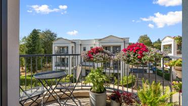 9-Lyons-Mews-Redwood-terrace
