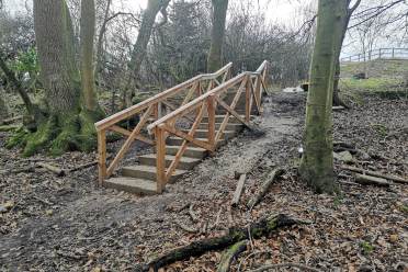 Woodland walk at Wycliffe Park