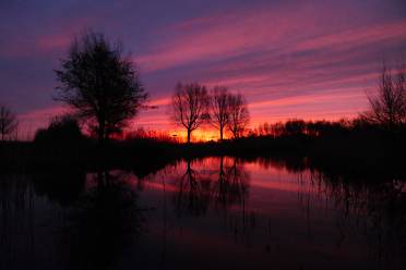 Golden hour at Audley Clevedon, as captured by owner Fiona Currie