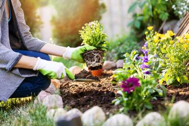 Your spring gardening tips