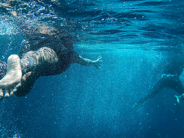 Swimming in blue water. Underwater shot.