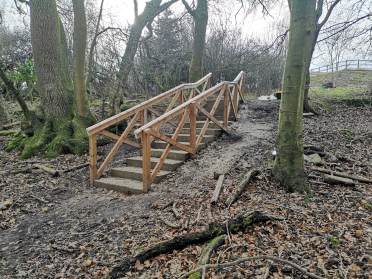 Woodland walk at Wycliffe Park