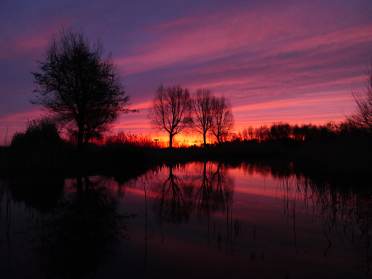 Golden hour at Audley Clevedon, as captured by owner Fiona Currie