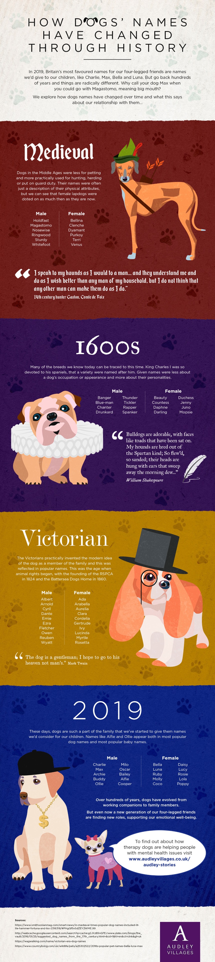 Therapy Dogs Audley Villages Infographic